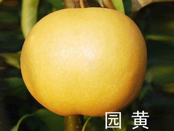 戳我试试