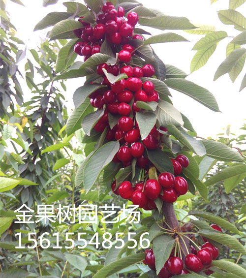戳我试试