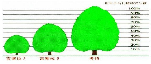 吉塞拉砧木（Jisaila）早丰产大樱桃矮化砧木