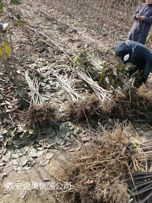 戳我试试