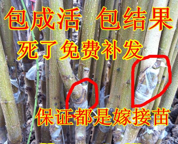 戳我试试