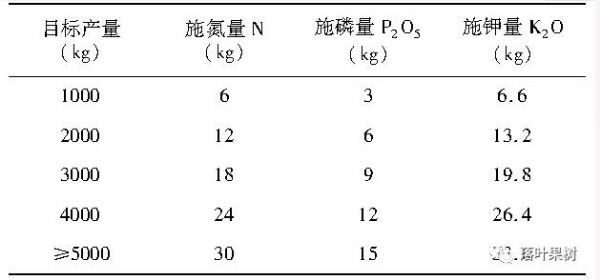 专家各方位支招水肥一体化管理